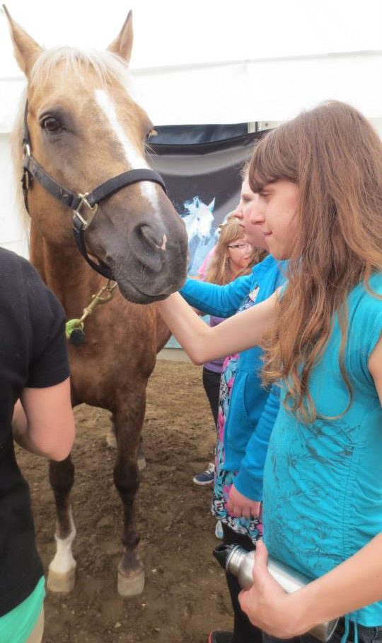 Visit at Cavalia - Touching a horse