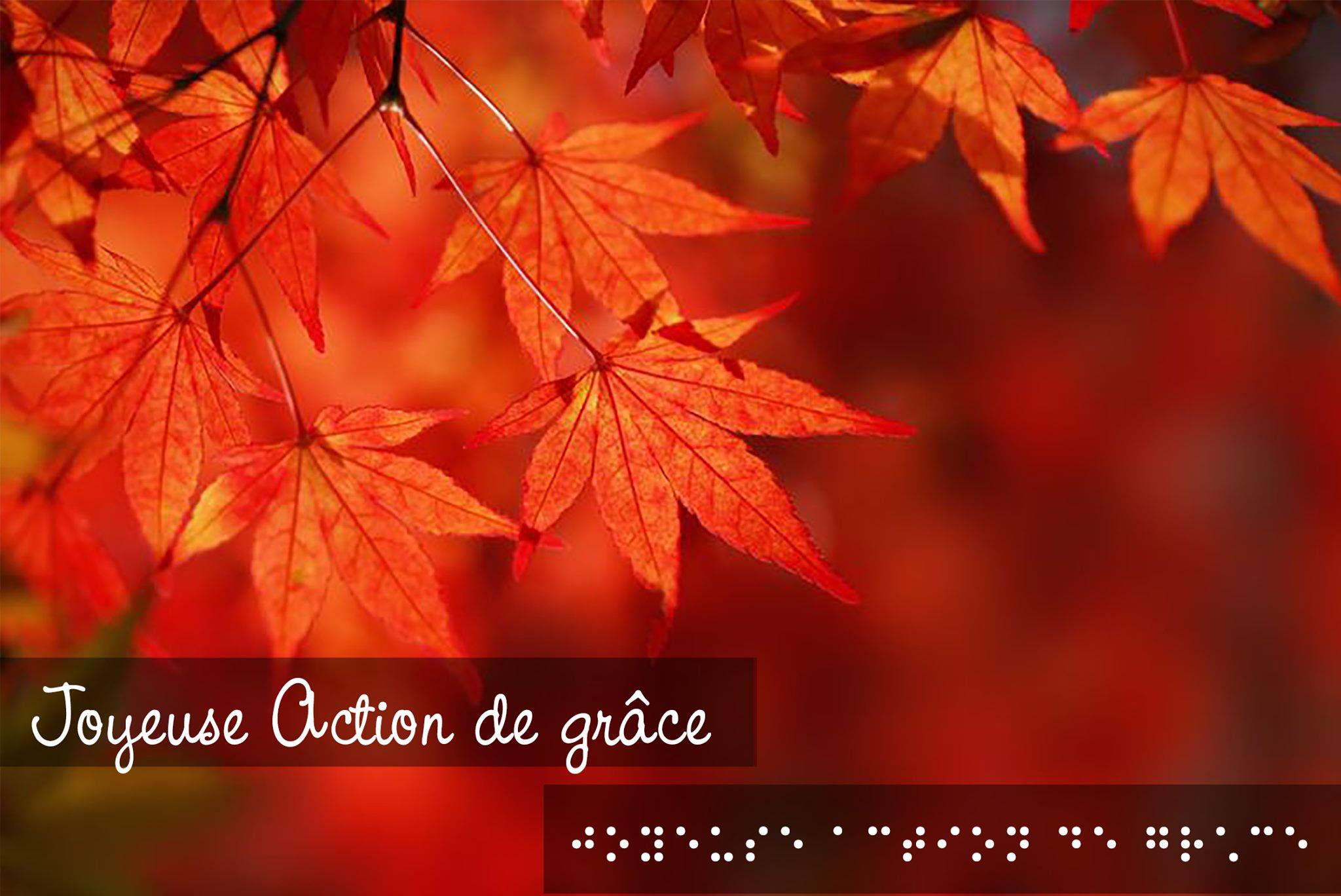 Des feuilles d’arbres orangées sont visibles dans la portion supérieure de l’image. Au bas de celle-ci, le texte « Joyeuse Action de grâce » est inscrit en braille et en lettres attachées.