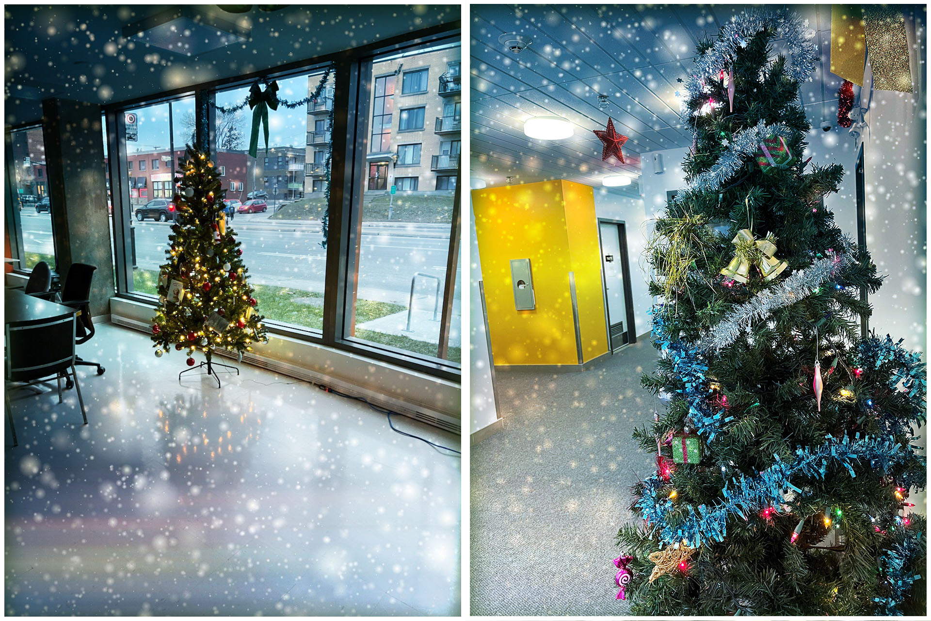 Description de l'image: Montage des décorations de Noël dans nos différents immeubles.